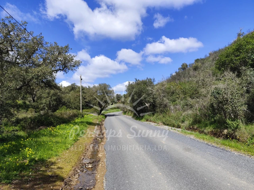 Terreno Agricola ou Rústico para Venda em Grândola e Santa Margarida da Serra Foto 4
