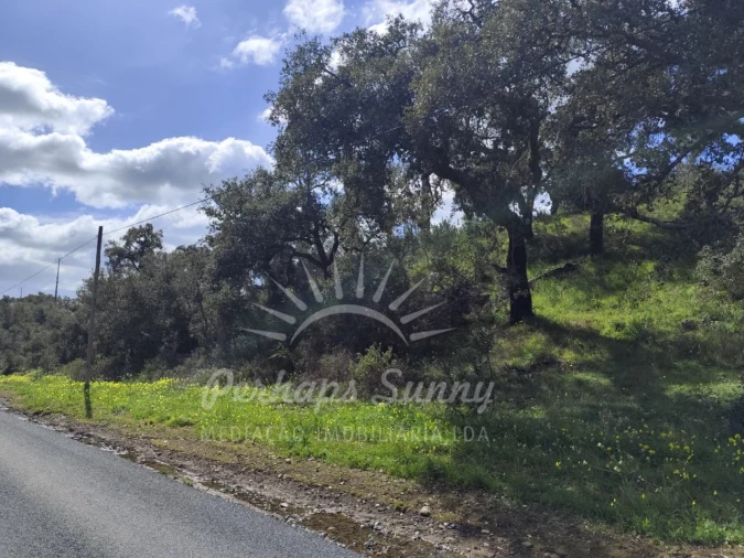 Terreno Agricola ou Rústico para Venda em Grândola e Santa Margarida da Serra