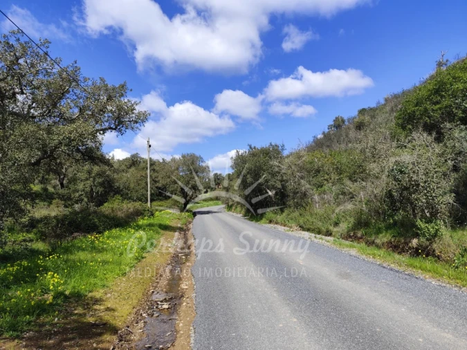 Terreno Agricola ou Rústico para Venda em Grândola e Santa Margarida da Serra Foto 4