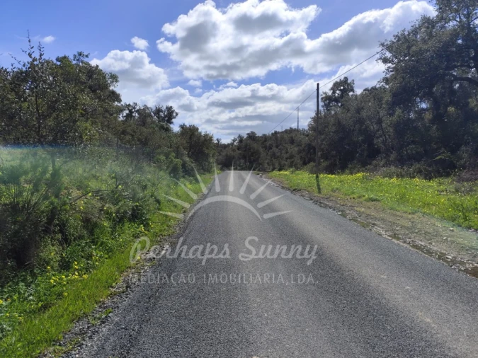 Terreno Agricola ou Rústico para Venda em Grândola e Santa Margarida da Serra Foto 5