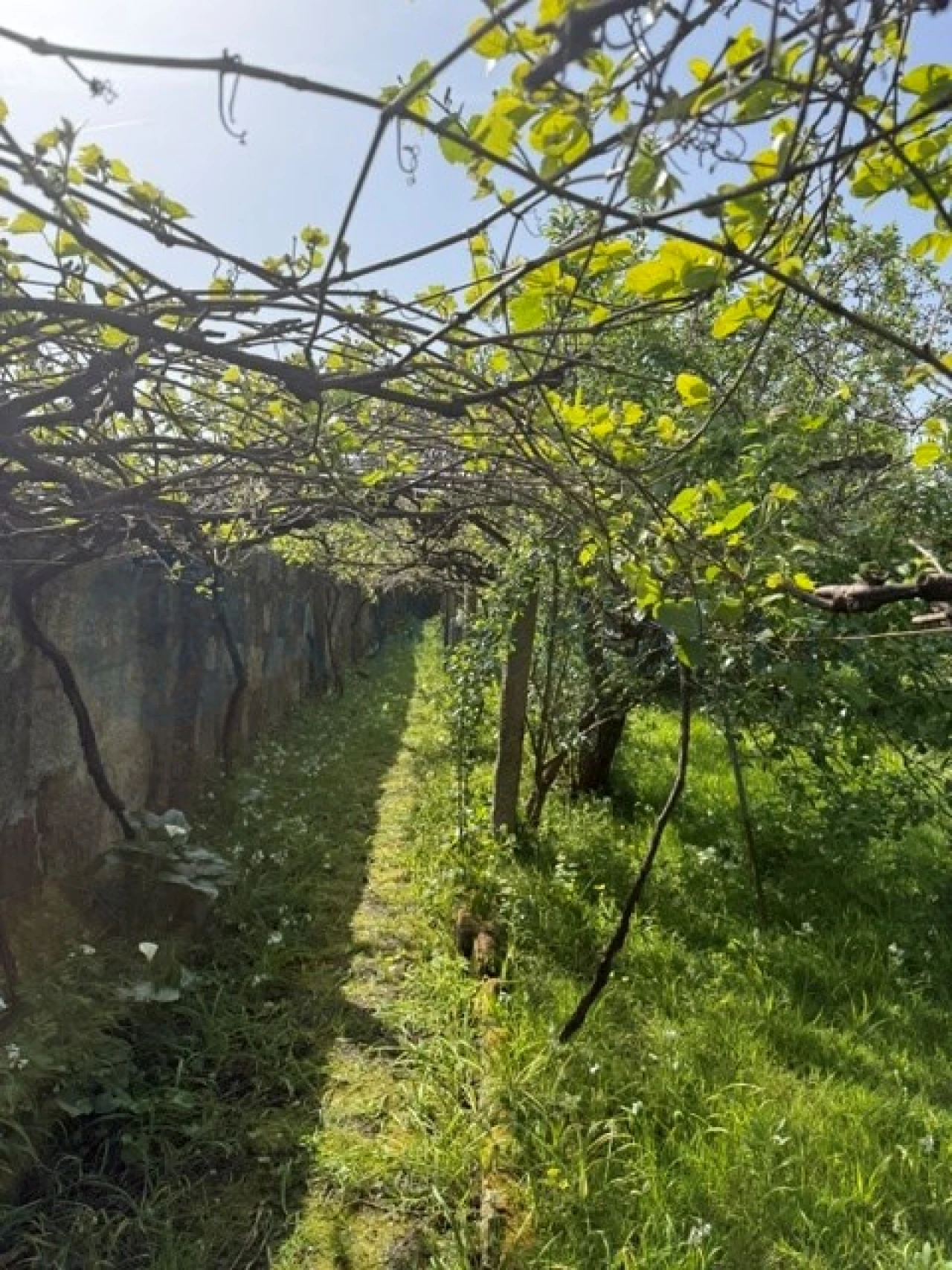 Moradia T6 para Venda em Custóias, Leça do Balio e Guifões Foto 4