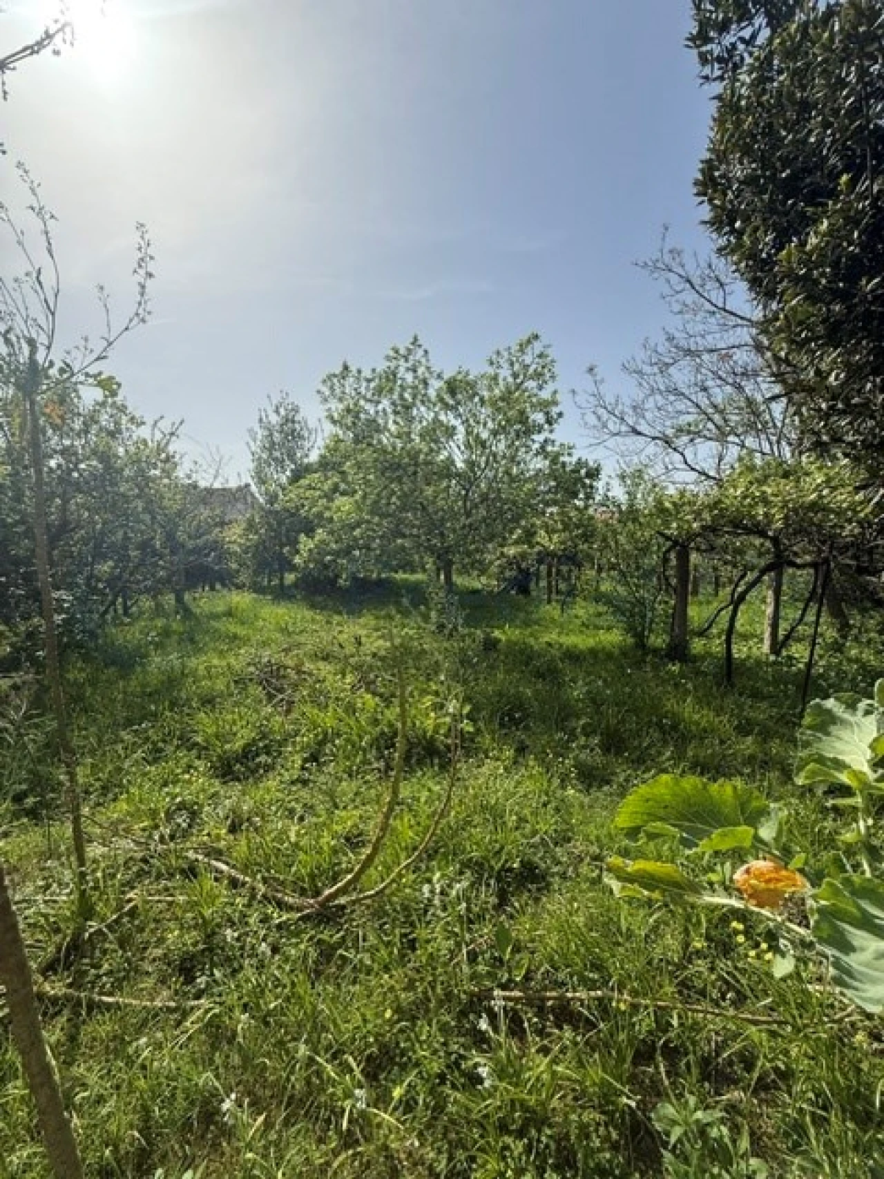 Moradia T6 para Venda em Custóias, Leça do Balio e Guifões Foto 7