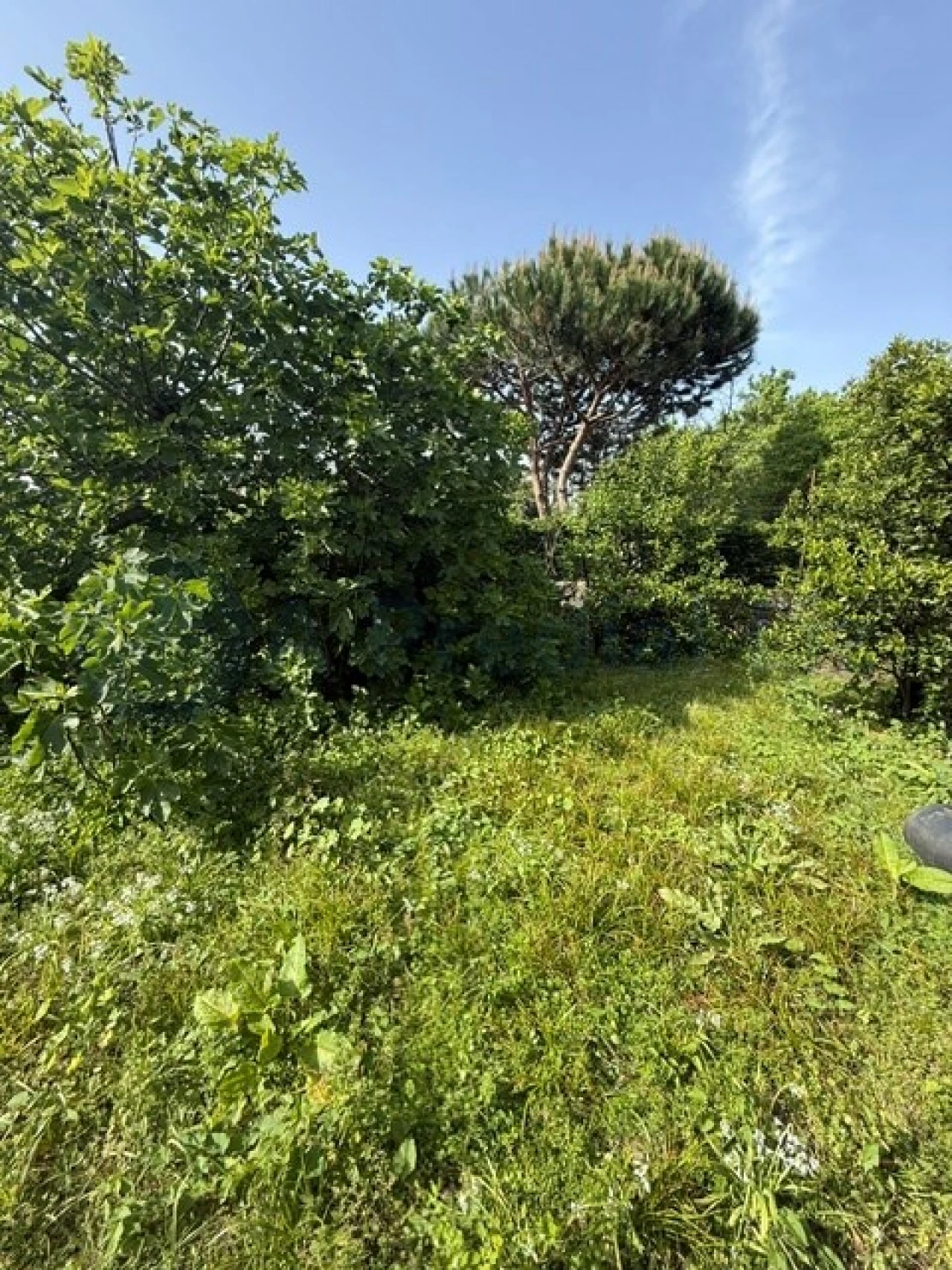 Moradia T6 para Venda em Custóias, Leça do Balio e Guifões Foto 11