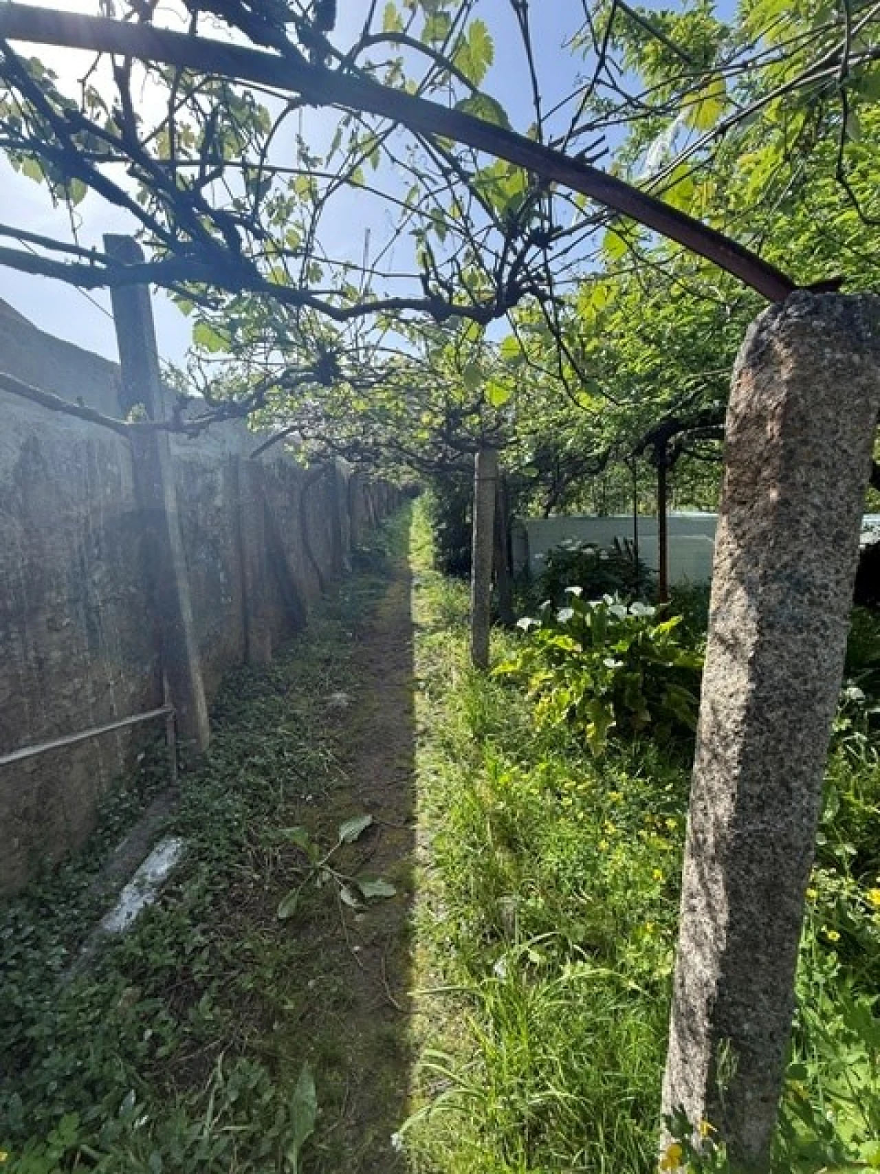 Moradia T6 para Venda em Custóias, Leça do Balio e Guifões Foto 12