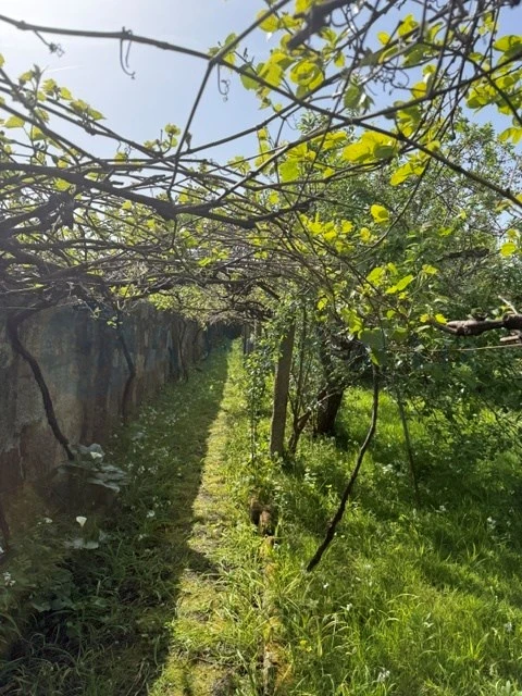 Moradia T6 para Venda em Custóias, Leça do Balio e Guifões