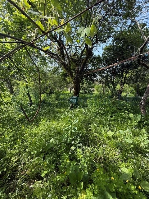 Moradia T6 para Venda em Custóias, Leça do Balio e Guifões