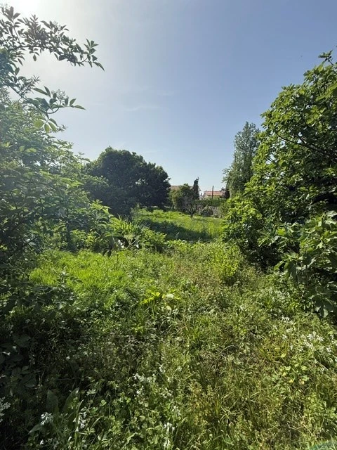 Moradia T6 para Venda em Custóias, Leça do Balio e Guifões