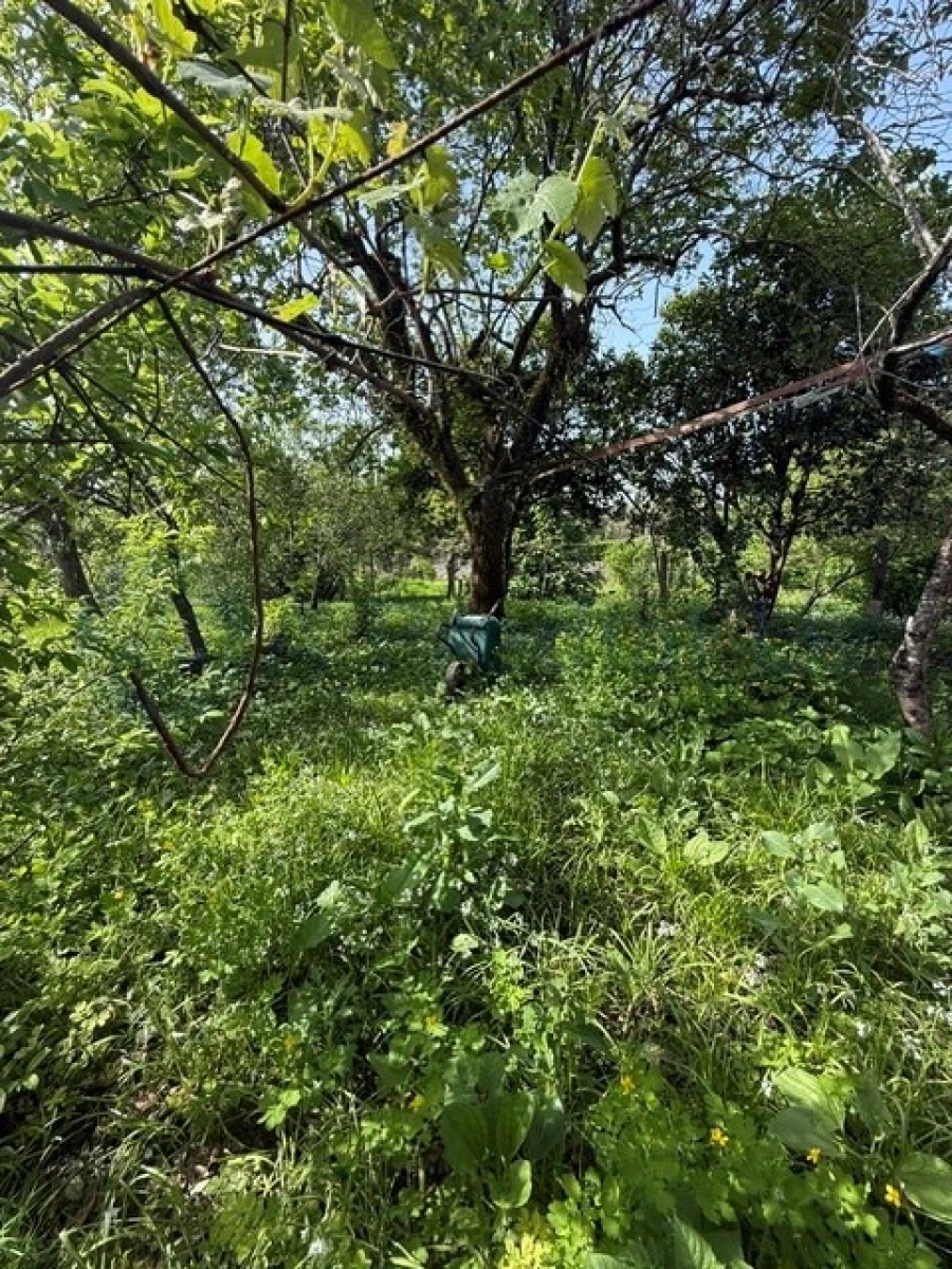 Moradia T6 para Venda em Custóias, Leça do Balio e Guifões Foto 8