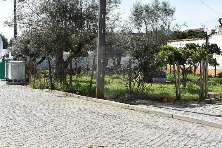 Moradia T1 para Venda em Benavila e Valongo Foto 3