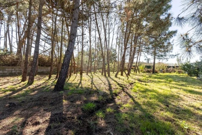 Moradia T4 para Venda em Silveira