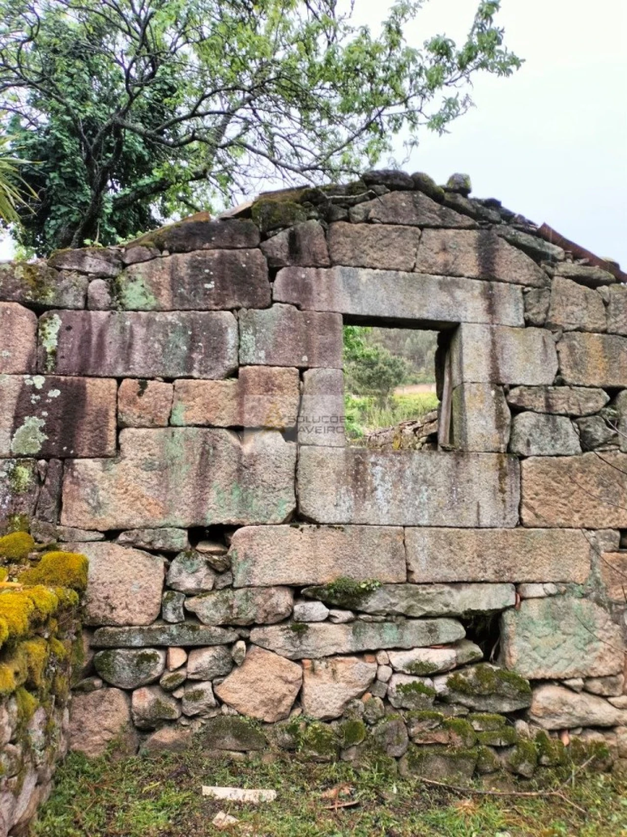 Terreno para Venda em Talhadas Foto 1