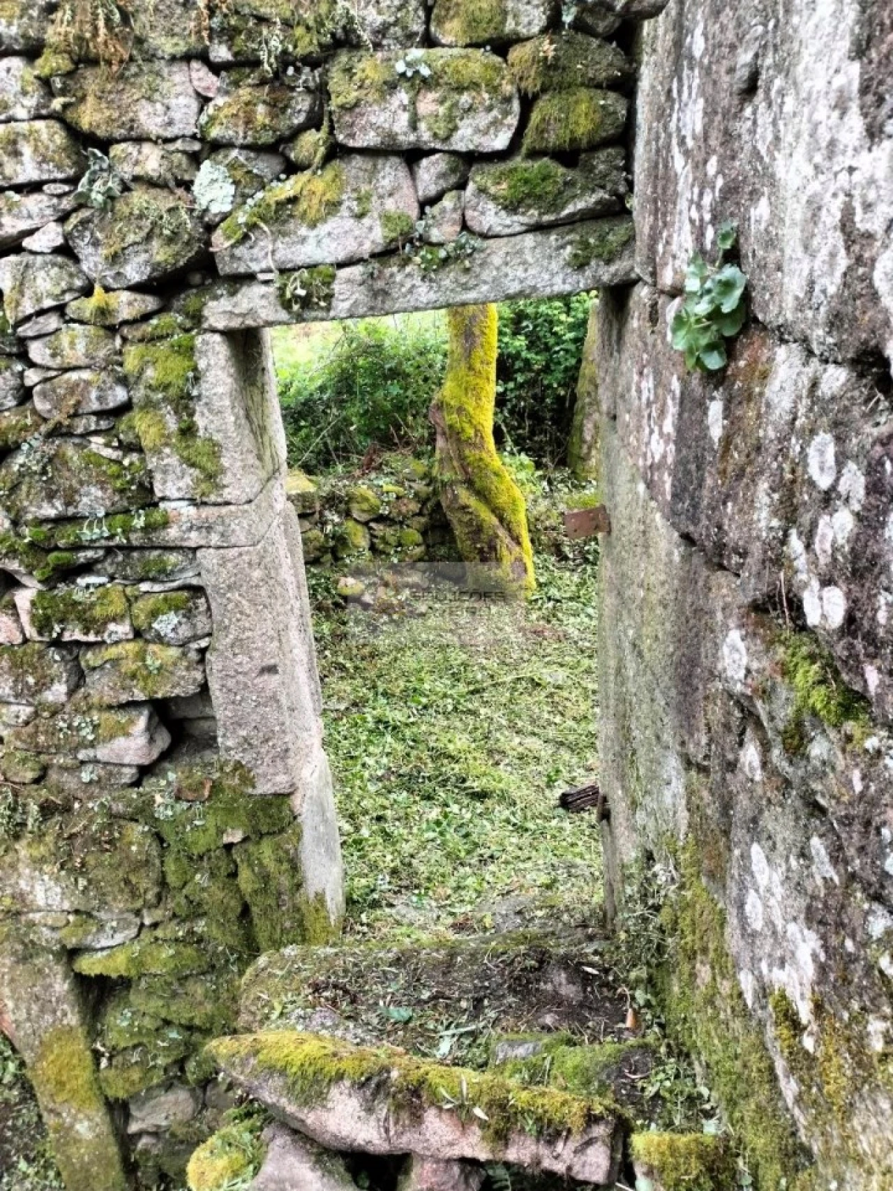 Terreno para Venda em Talhadas Foto 2