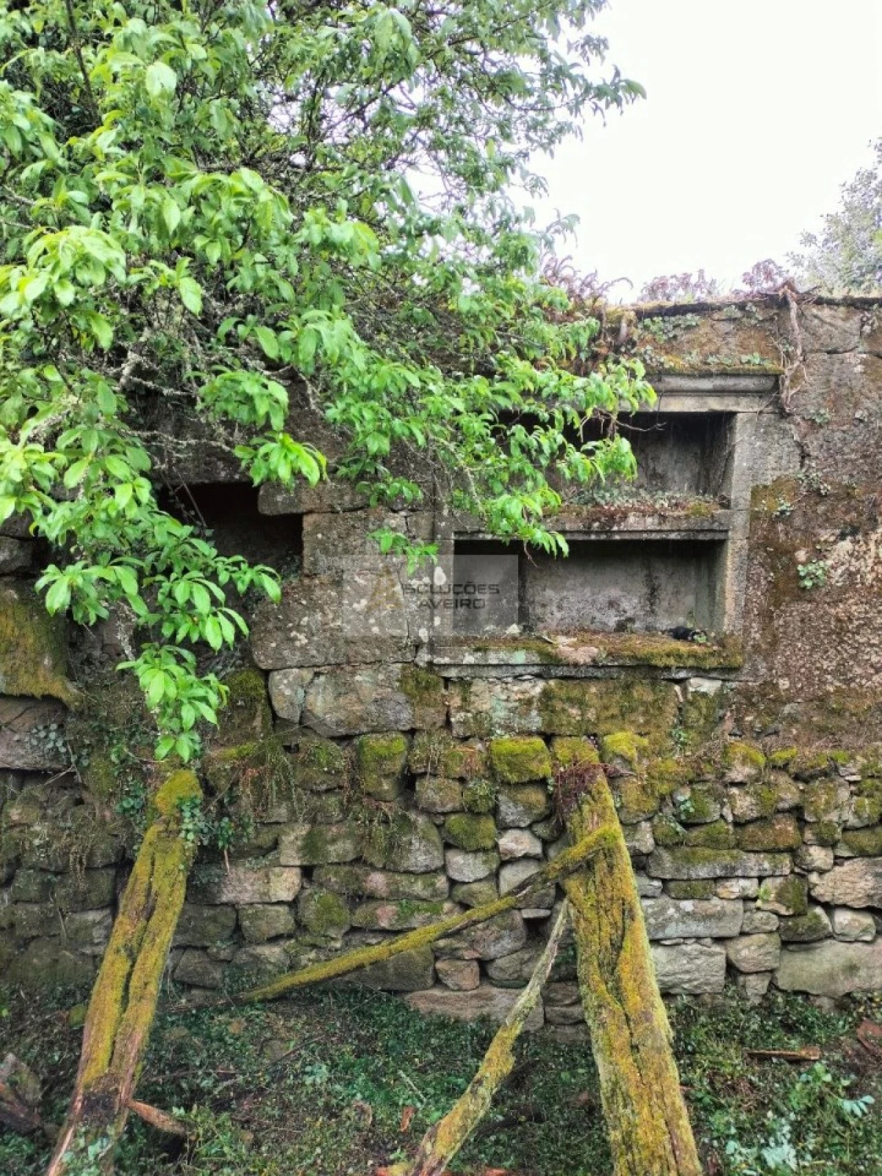 Terreno para Venda em Talhadas Foto 5