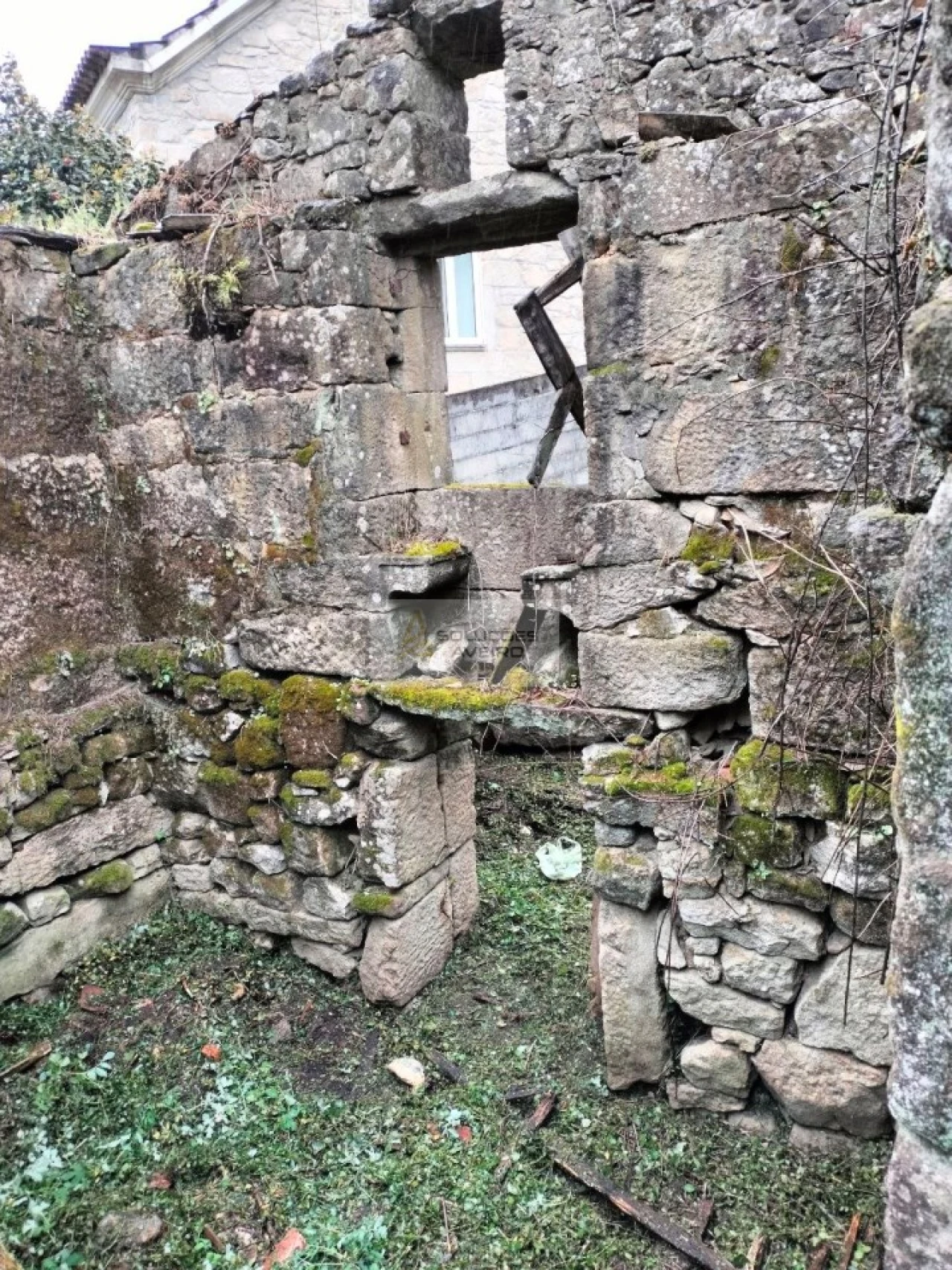 Terreno para Venda em Talhadas Foto 7