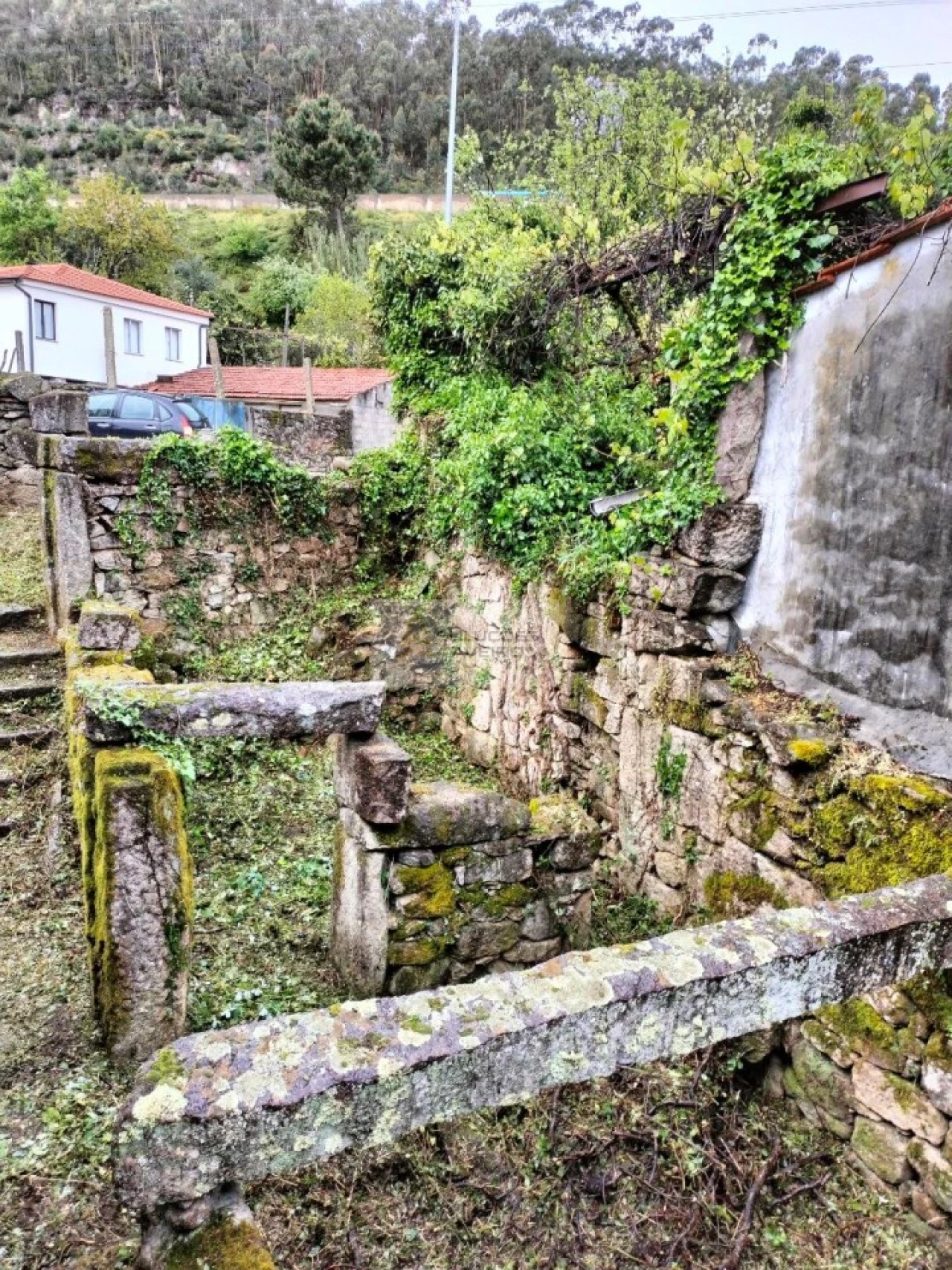 Terreno para Venda em Talhadas Foto 9