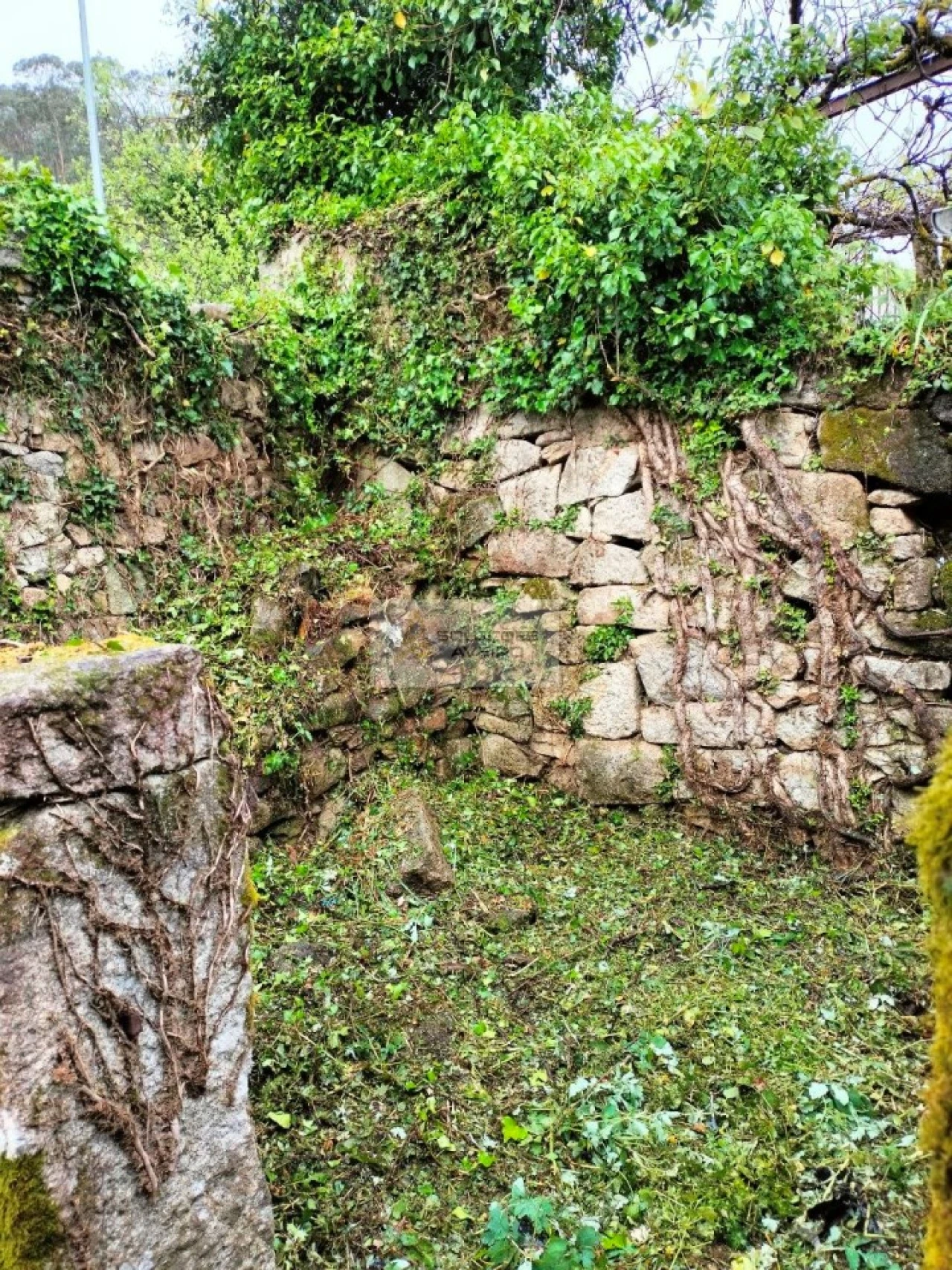 Terreno para Venda em Talhadas Foto 11