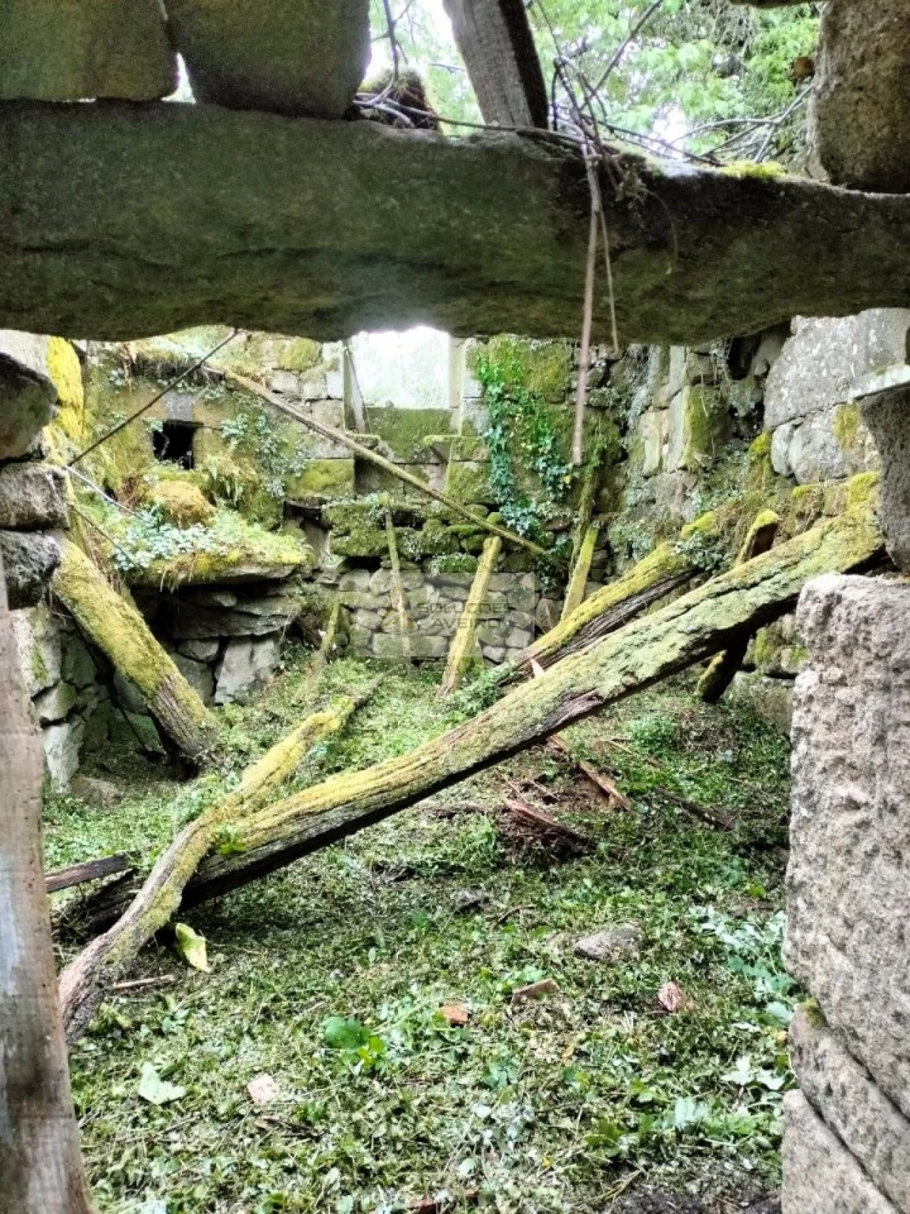 Terreno para Venda em Talhadas Foto 12