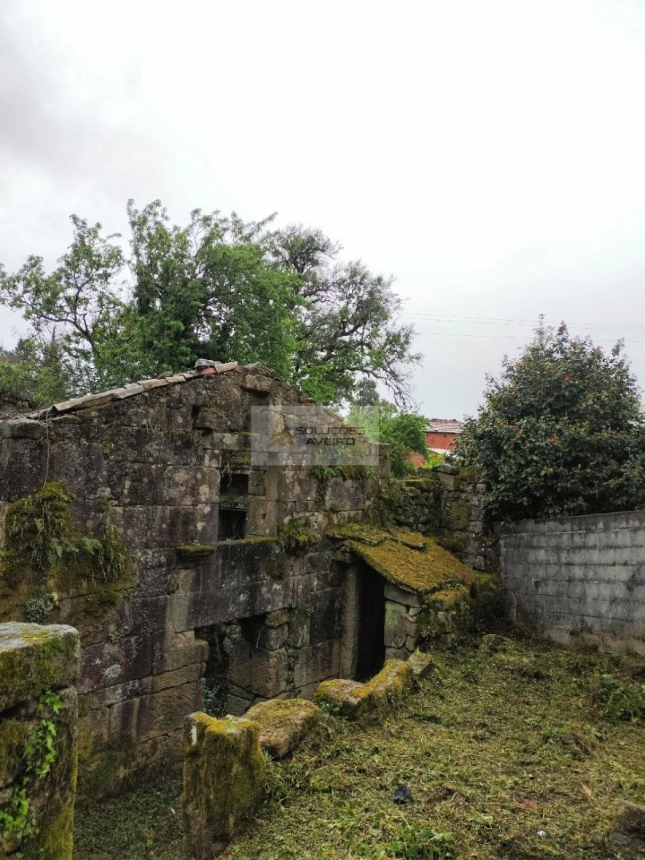 Terreno para Venda em Talhadas Foto 17