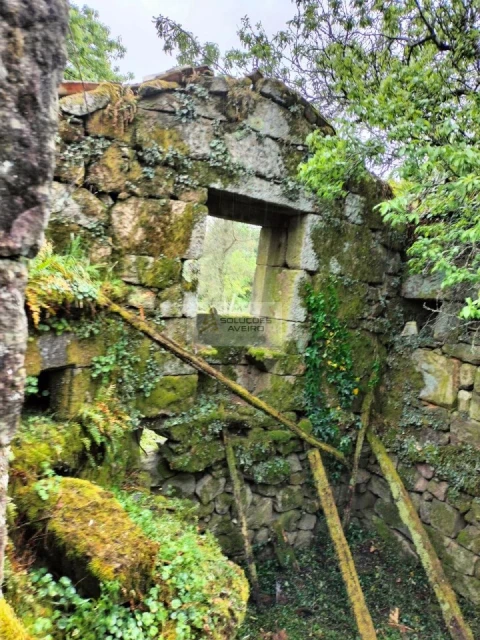 Terreno para Venda em Talhadas