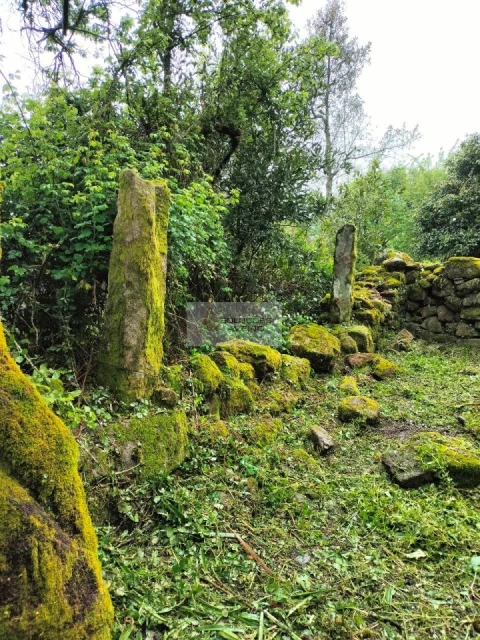 Terreno para Venda em Talhadas