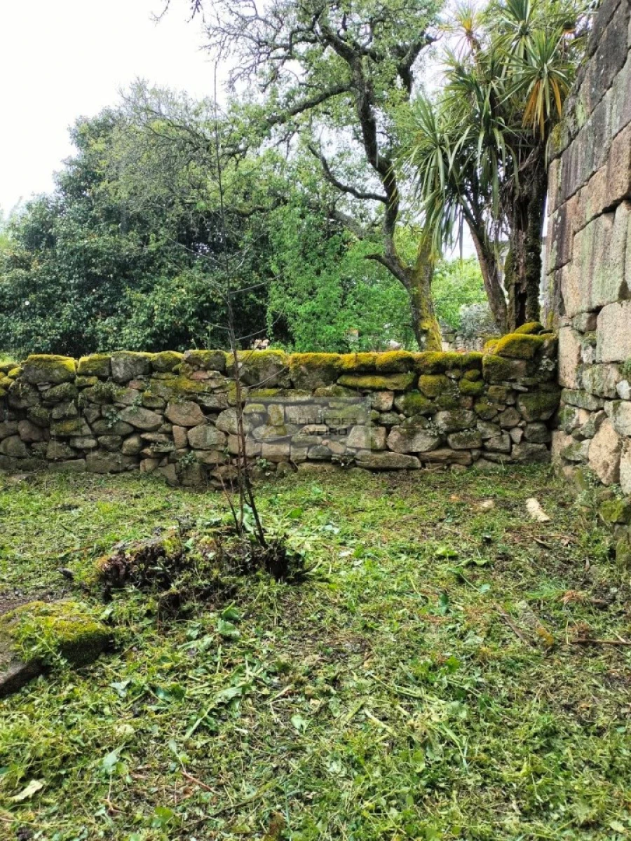 Terreno para Venda em Talhadas Foto 3