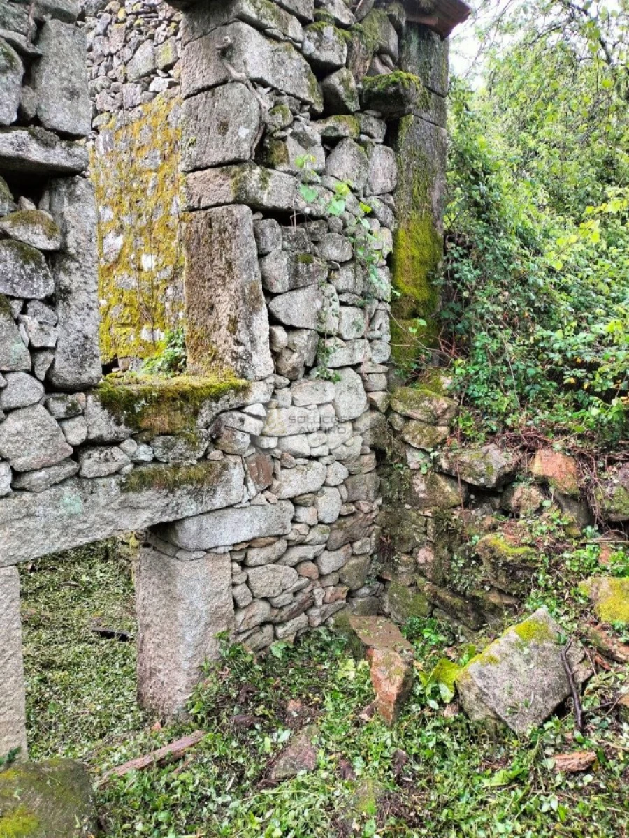 Terreno para Venda em Talhadas Foto 4