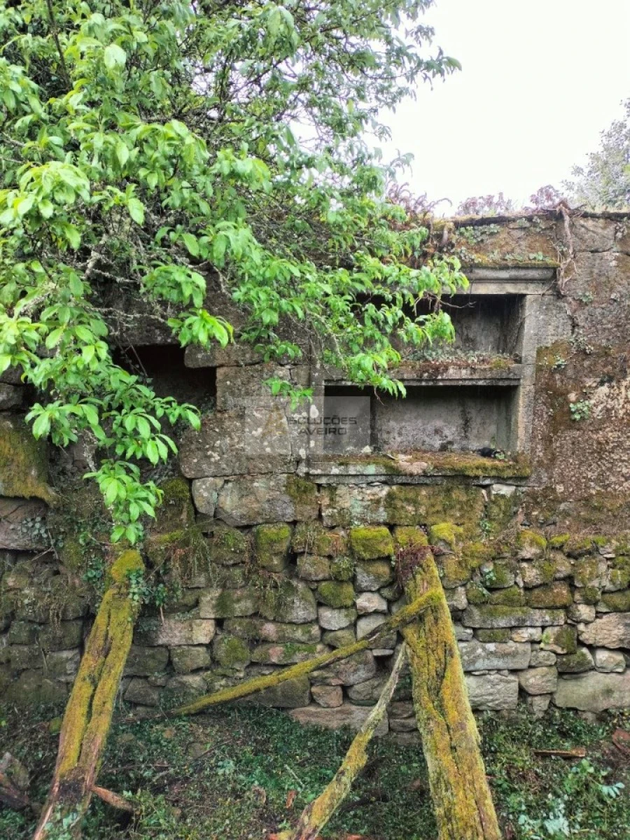 Terreno para Venda em Talhadas Foto 5
