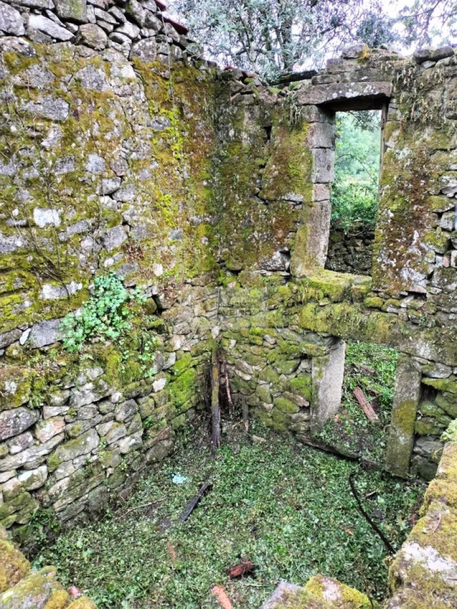 Terreno para Venda em Talhadas Foto 6