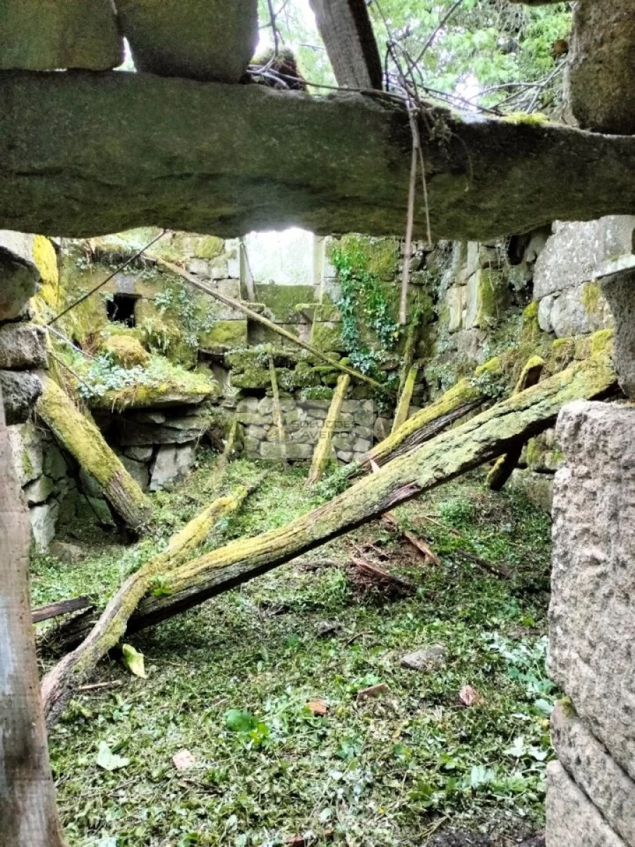 Terreno para Venda em Talhadas Foto 12