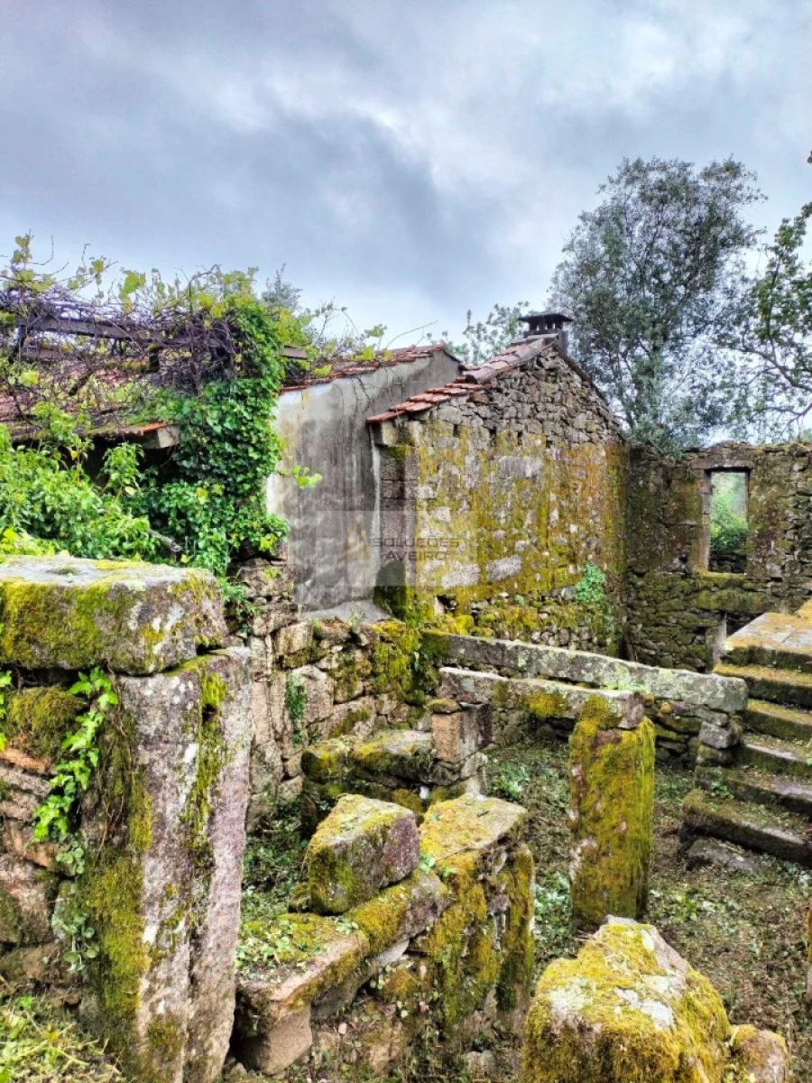 Terreno para Venda em Talhadas Foto 14