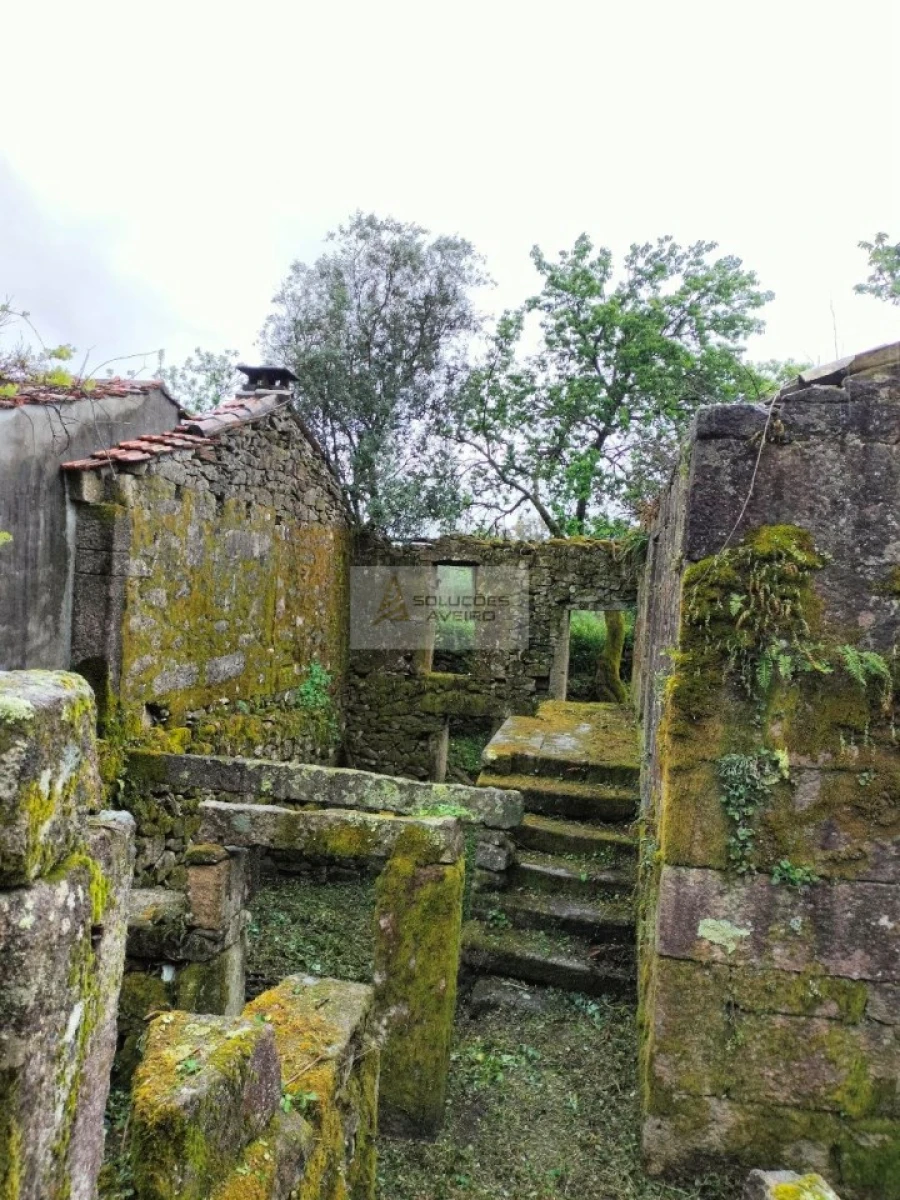 Terreno para Venda em Talhadas Foto 15