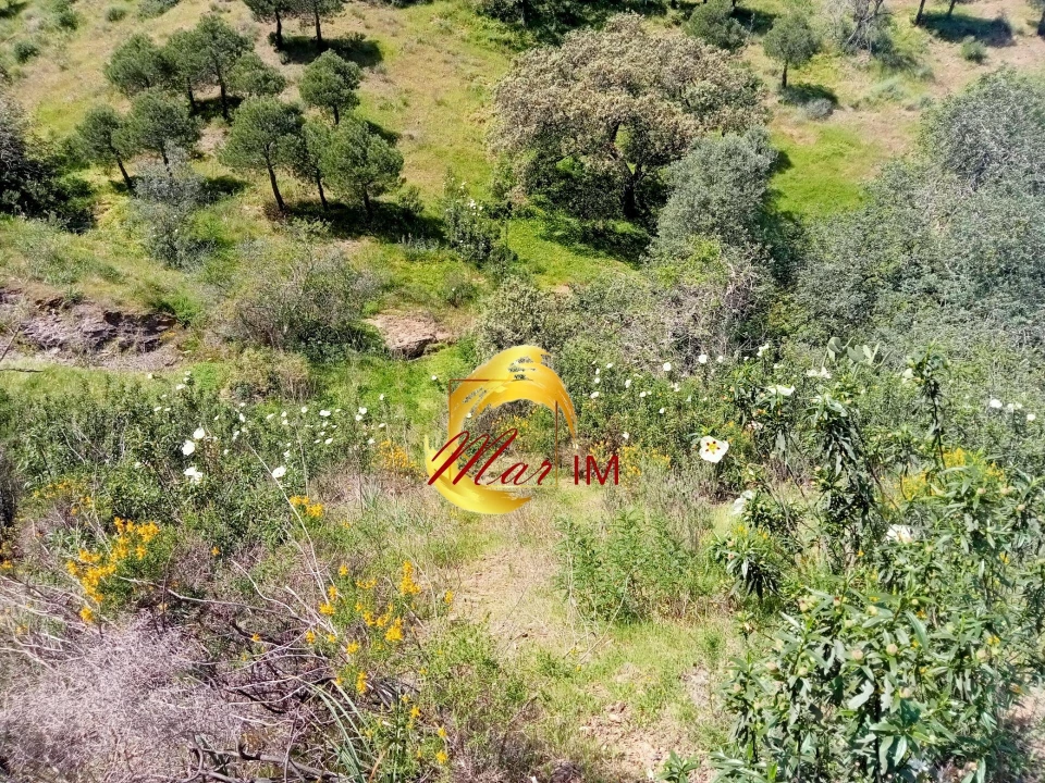 Terreno Agricola ou Rústico para Venda em Castro Marim Foto 22