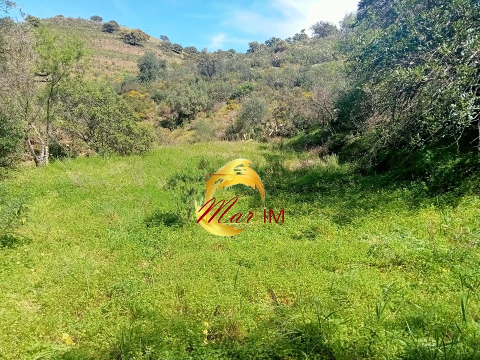 Terreno Agricola ou Rústico para Venda em Castro Marim Foto 4