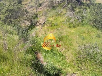 Terreno Agricola ou Rústico para Venda em Castro Marim