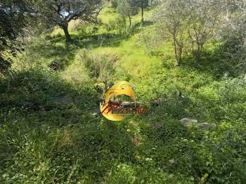 Terreno Agricola ou Rústico para Venda em Castro Marim