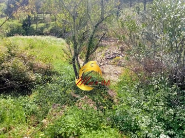 Terreno Agricola ou Rústico para Venda em Castro Marim
