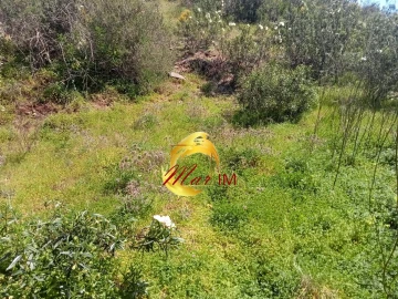 Terreno Agricola ou Rústico para Venda em Castro Marim