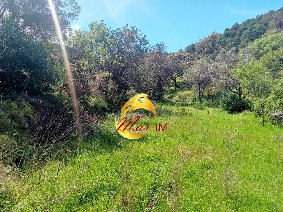 Terreno Agricola ou Rústico para Venda em Castro Marim Foto 1