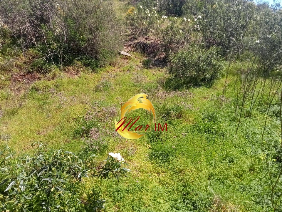 Terreno Agricola ou Rústico para Venda em Castro Marim Foto 20