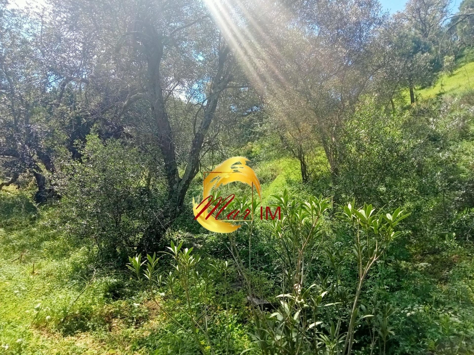 Terreno Agricola ou Rústico para Venda em Castro Marim Foto 6