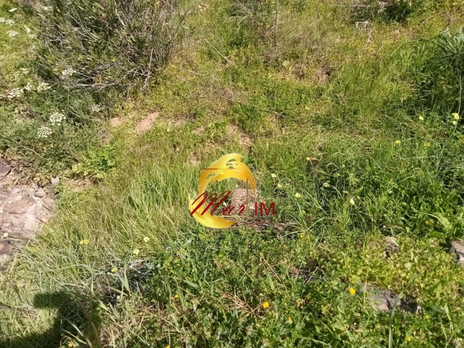 Terreno Agricola ou Rústico para Venda em Castro Marim Foto 10