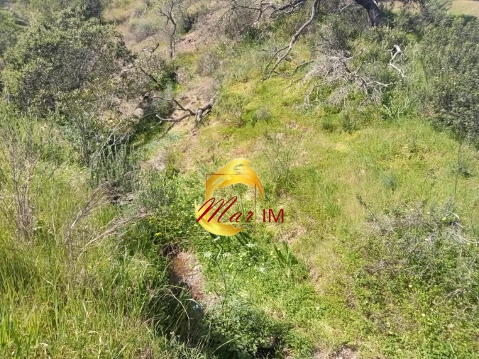 Terreno Agricola ou Rústico para Venda em Castro Marim Foto 12