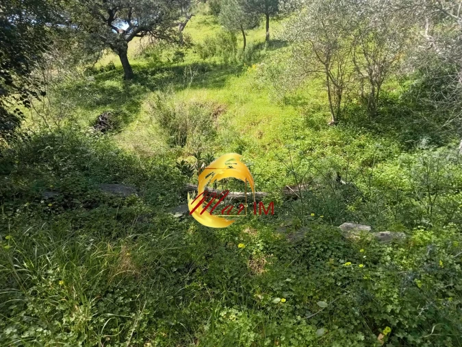 Terreno Agricola ou Rústico para Venda em Castro Marim Foto 15
