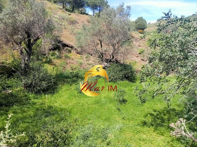 Terreno Agricola ou Rústico para Venda em Castro Marim Foto 16