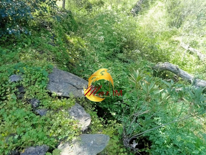Terreno Agricola ou Rústico para Venda em Castro Marim Foto 2