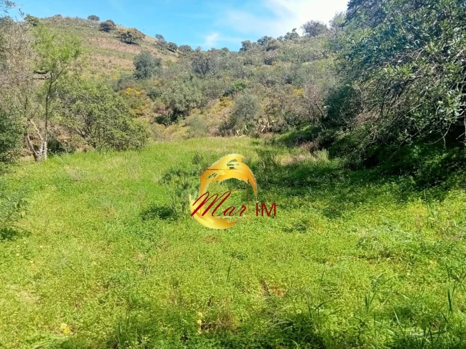 Terreno Agricola ou Rústico para Venda em Castro Marim Foto 3