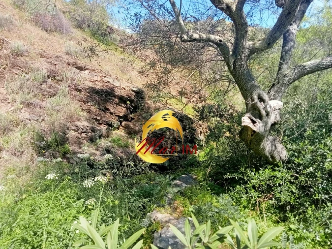 Terreno Agricola ou Rústico para Venda em Castro Marim Foto 4