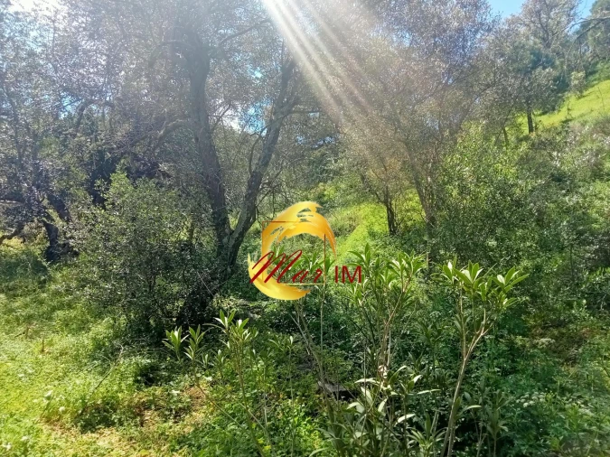 Terreno Agricola ou Rústico para Venda em Castro Marim Foto 6