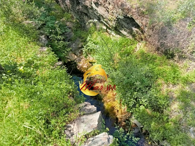 Terreno Agricola ou Rústico para Venda em Castro Marim Foto 7