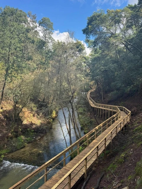 Apartamento T2 para Venda em Nogueira do Cravo e Pindelo